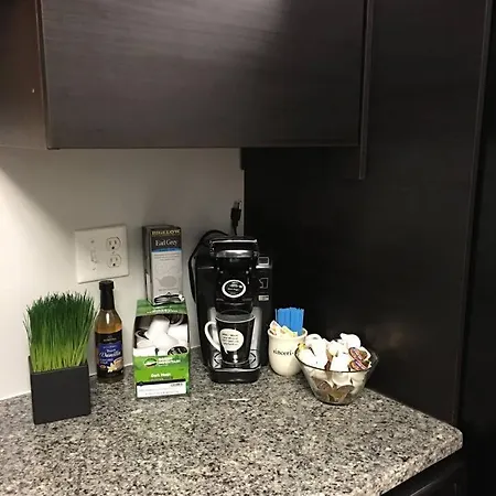 Renovated, 10 Min From The City Boston Room photo